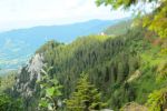 2014-07-05_Laengental-N-Hochweg (742). JPG